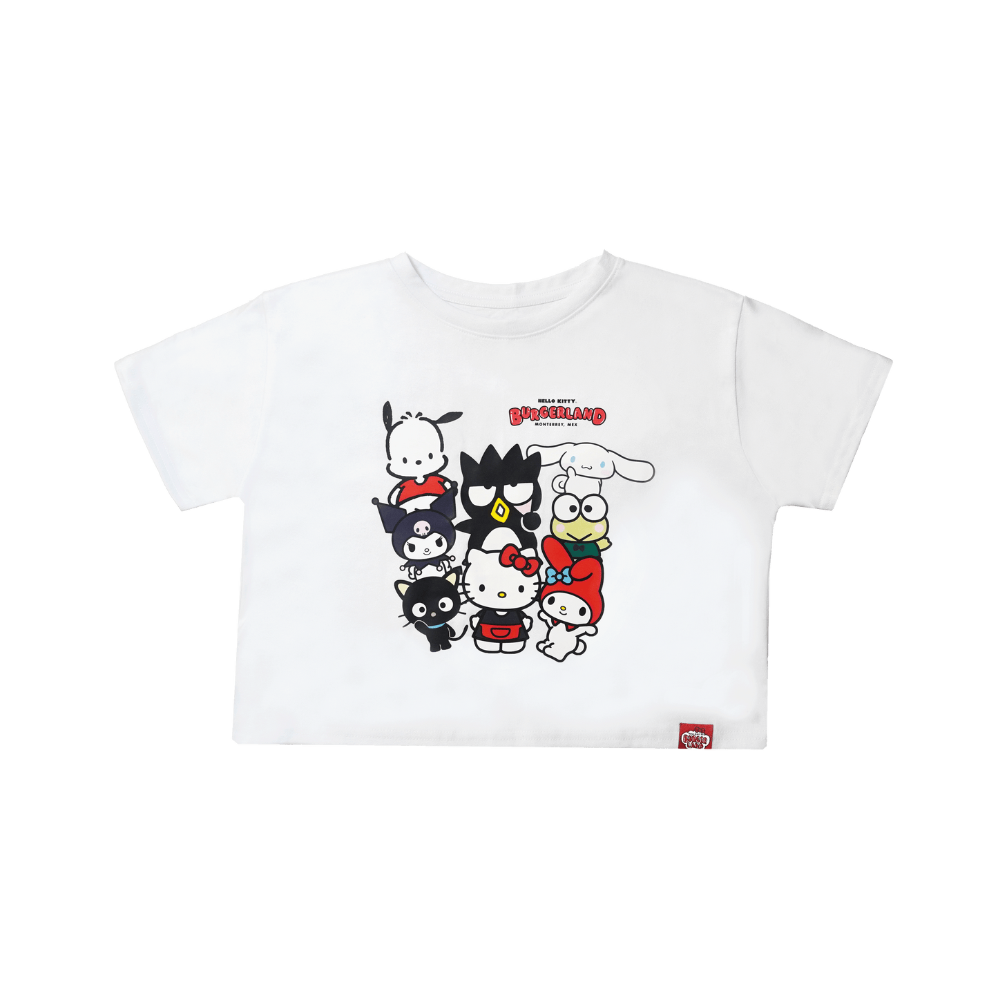 Hello Kitty and Friedns Crop Top